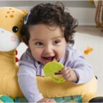 FISHER-PRICE, grickalica za zubiće - Slika 3