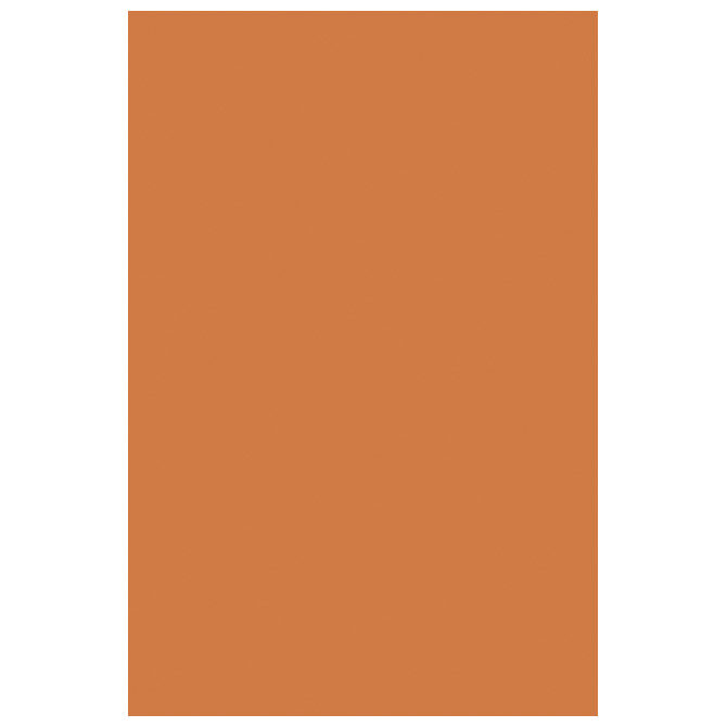 Filc ukrasni A4 pk10 Knorr Prandell 21-8436117 narančasti