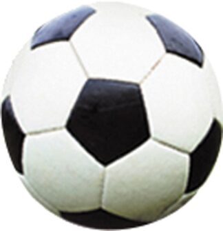 AOJIE nogometni gol 2 u 1 56389 - Slika 3