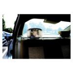 FREEON ogledalo za nadzor djeteta s led svjetolm black 38145 - Slika 2