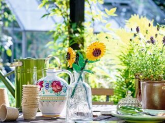 LEGO® ICONS 40524 Suncokreti - Slika 2