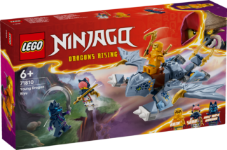 LEGO® NINJAGO® 71810 Mladi zmaj Riyu
