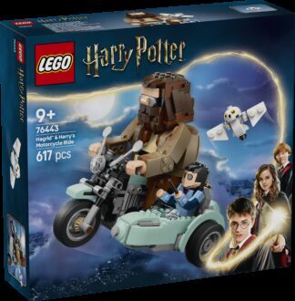 LEGO® HARRY POTTER™ 76443 Hagrid™ i Harry na motociklu