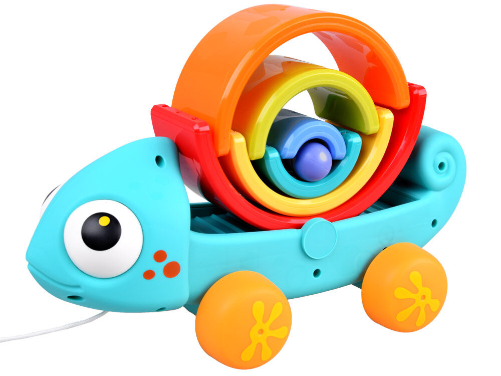 HOLA kameleon duga 795700